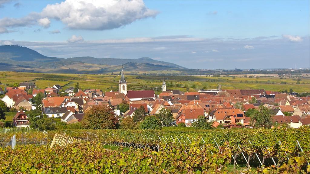 Du Vignoble Hébergement de vacances