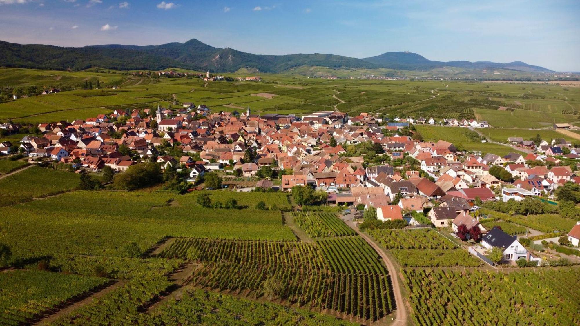 Du Vignoble